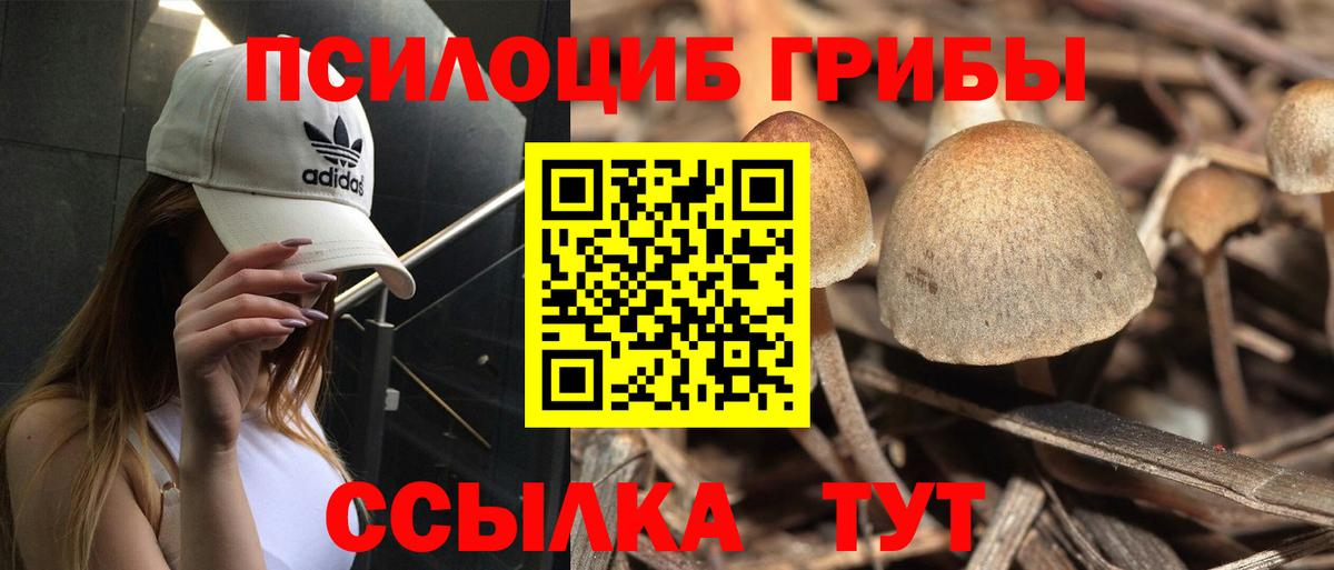 Псилоцибиновые грибы мухоморы  Галлюциногенные грибы Magic Shrooms  продажа наркотиков  Луга  Вход с VPN 